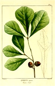 n129_w1150