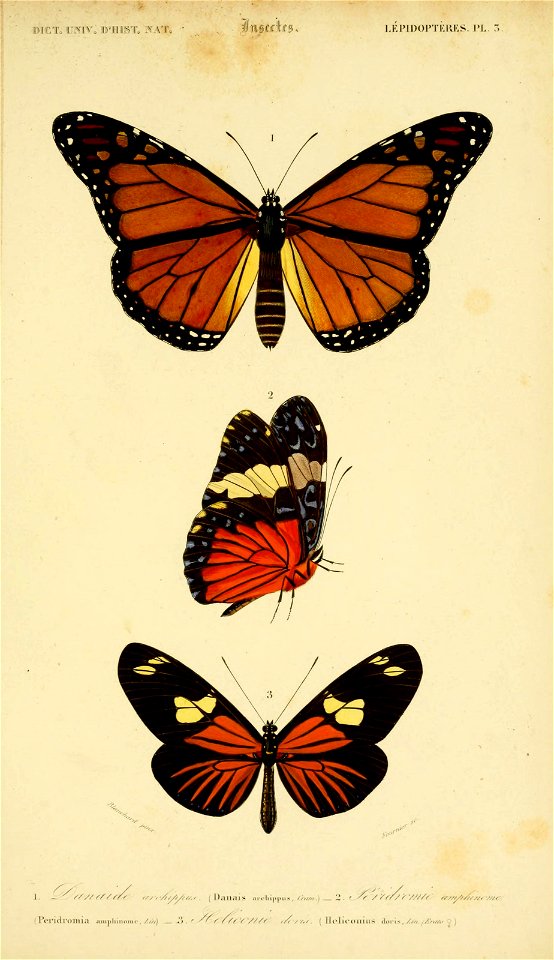 n176_w1150