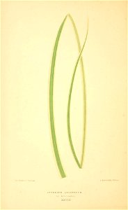 n177_w1150
