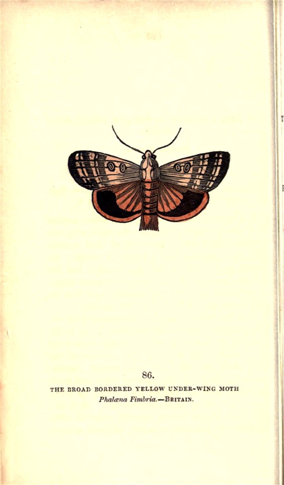 n179_w1150