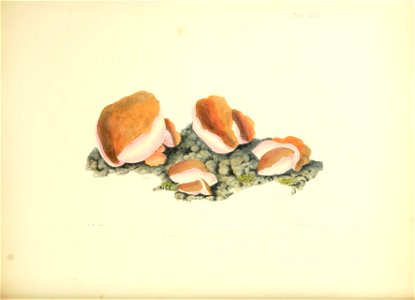 n169_w1150