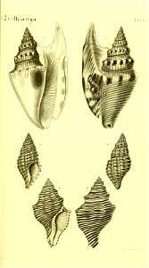 n40_w1150