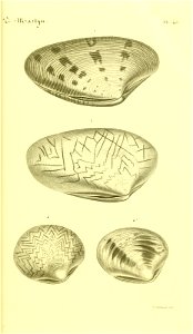 n128_w1150