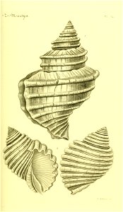 n66_w1150