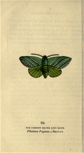 n147_w1150