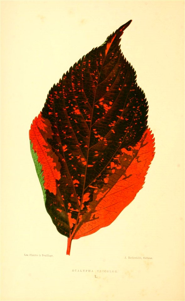 n309_w1150