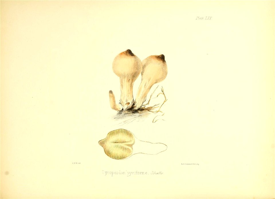 n305_w1150