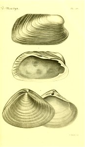 n138_w1150