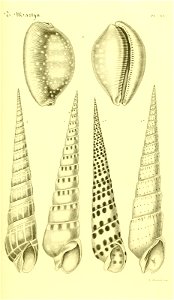 n104_w1150