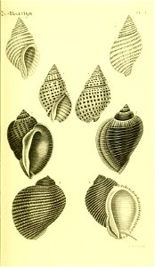 n44_w1150