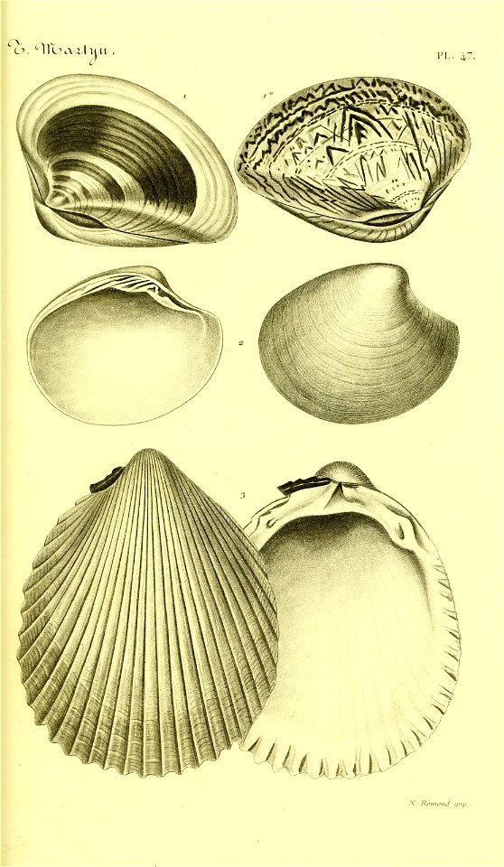 n132_w1150