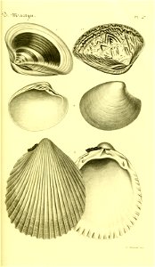 n132_w1150