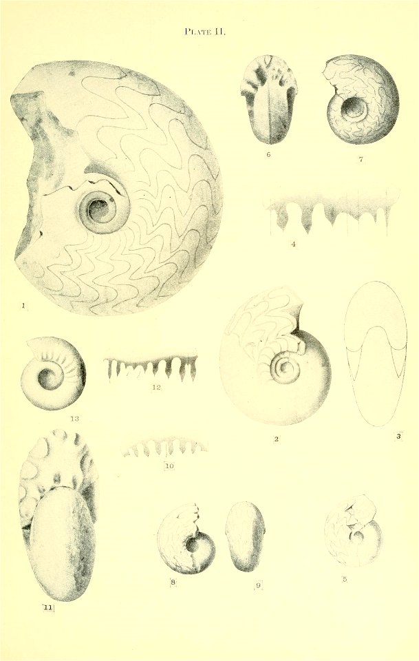 n44_w1150