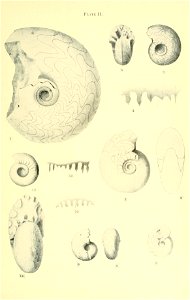 n44_w1150