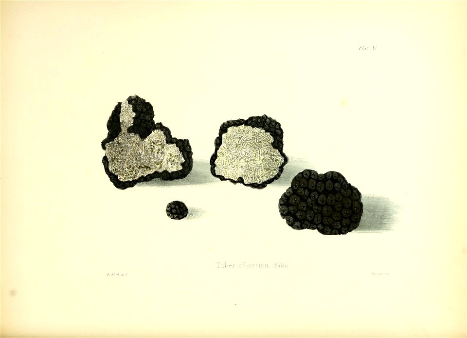 n63_w1150