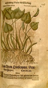 n527_w1150