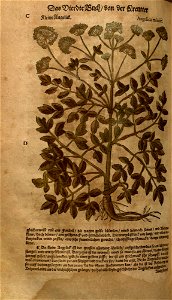 n1094_w1150