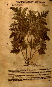 n1150_w1150