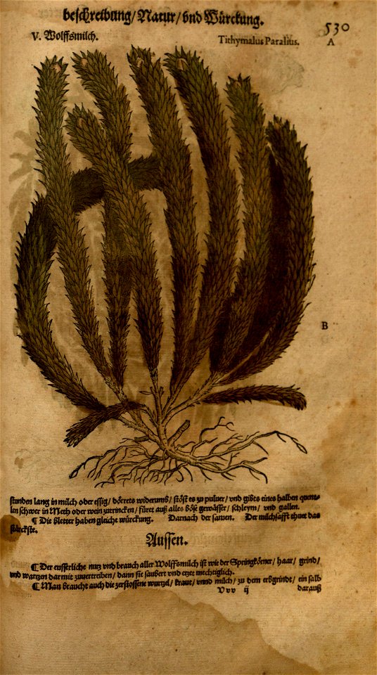 n1131_w1150