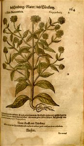 n599_w1150