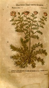 n552_w1150