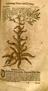 n571_w1150