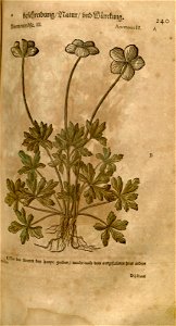 n551_w1150