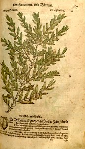 n205_w1150