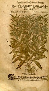 n502_w1150