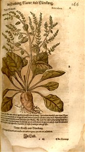 n403_w1150
