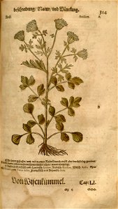 n699_w1150