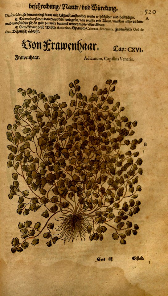 n1111_w1150