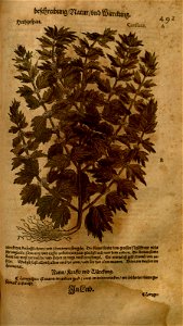 n1055_w1150