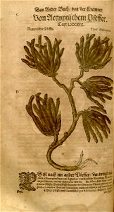 n508_w1150