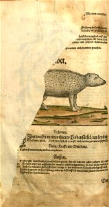 n106_w1150