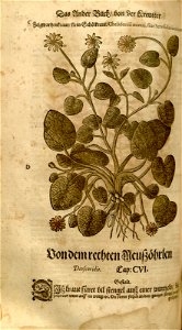 n568_w1150