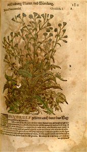 n431_w1150