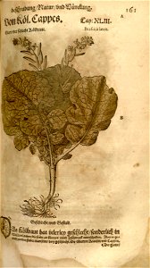 n393_w1150