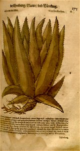 n621_w1150