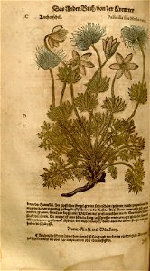 n554_w1150