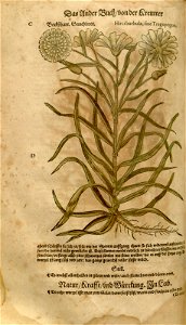 n468_w1150