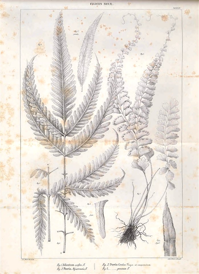 n120_w1150
