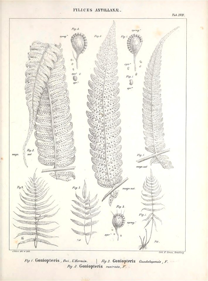 n358_w1150