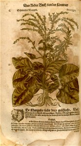 n402_w1150