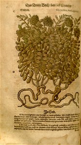 n592_w1150