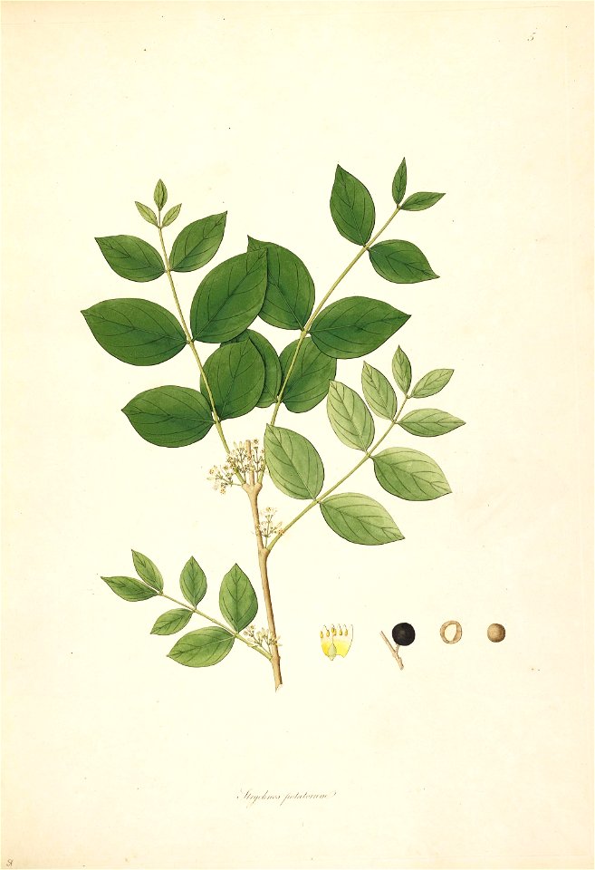 n45_w1150