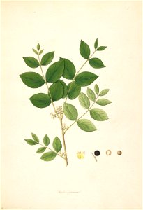 n45_w1150