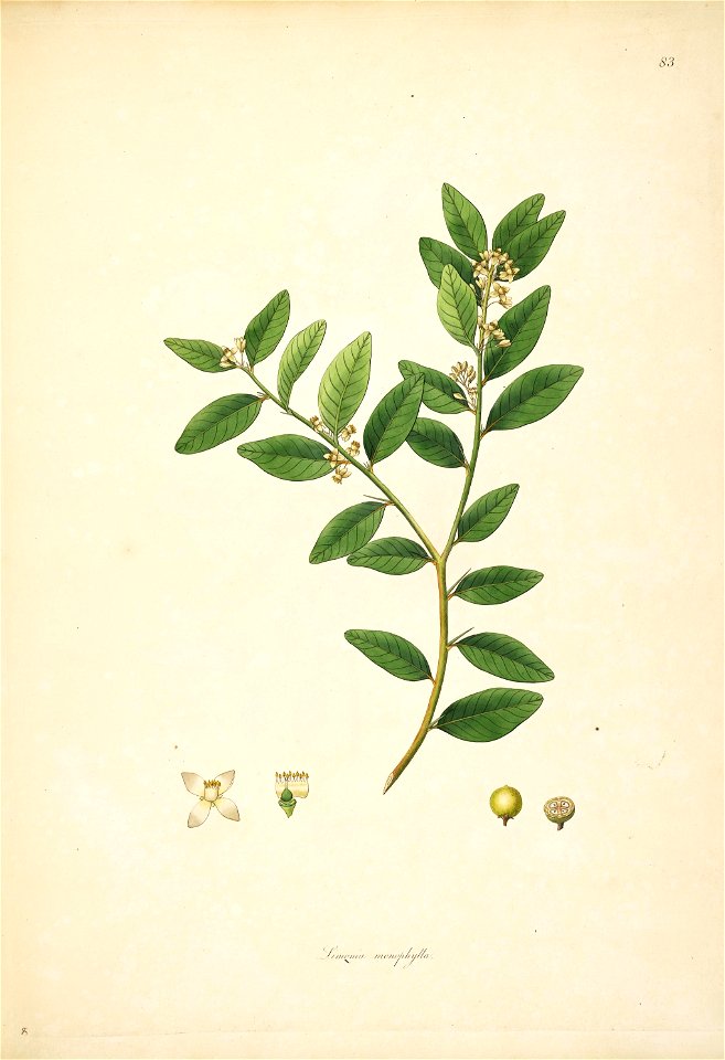 n123_w1150