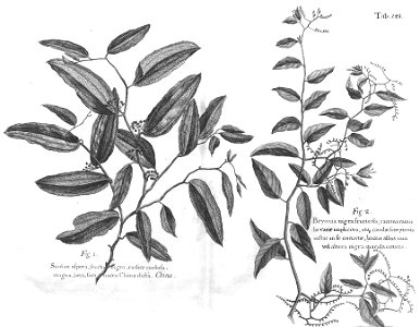 n578_w1150