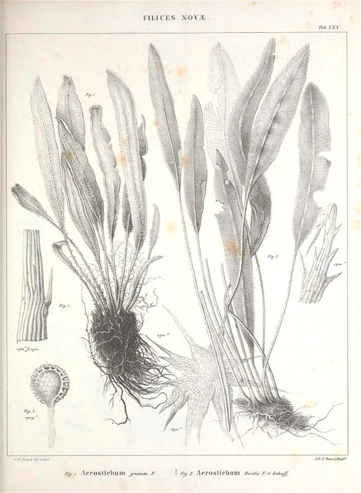n116_w1150